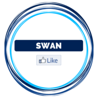 Swan